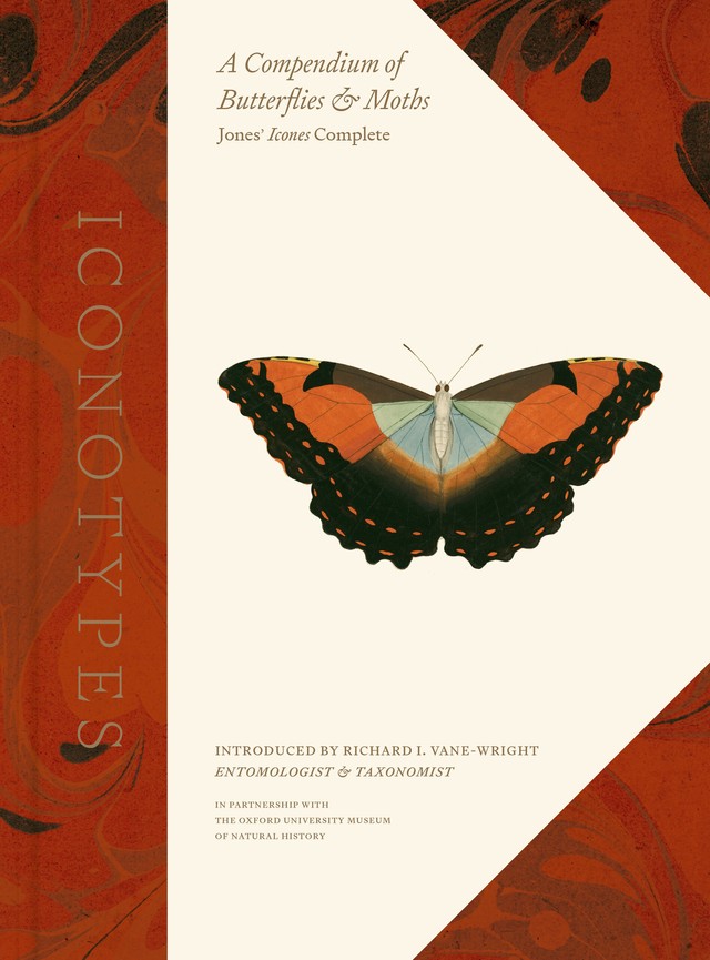 Holidays 2024 University of California Press